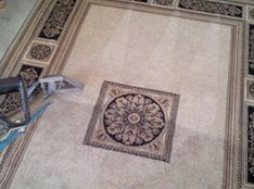 rug cleaning